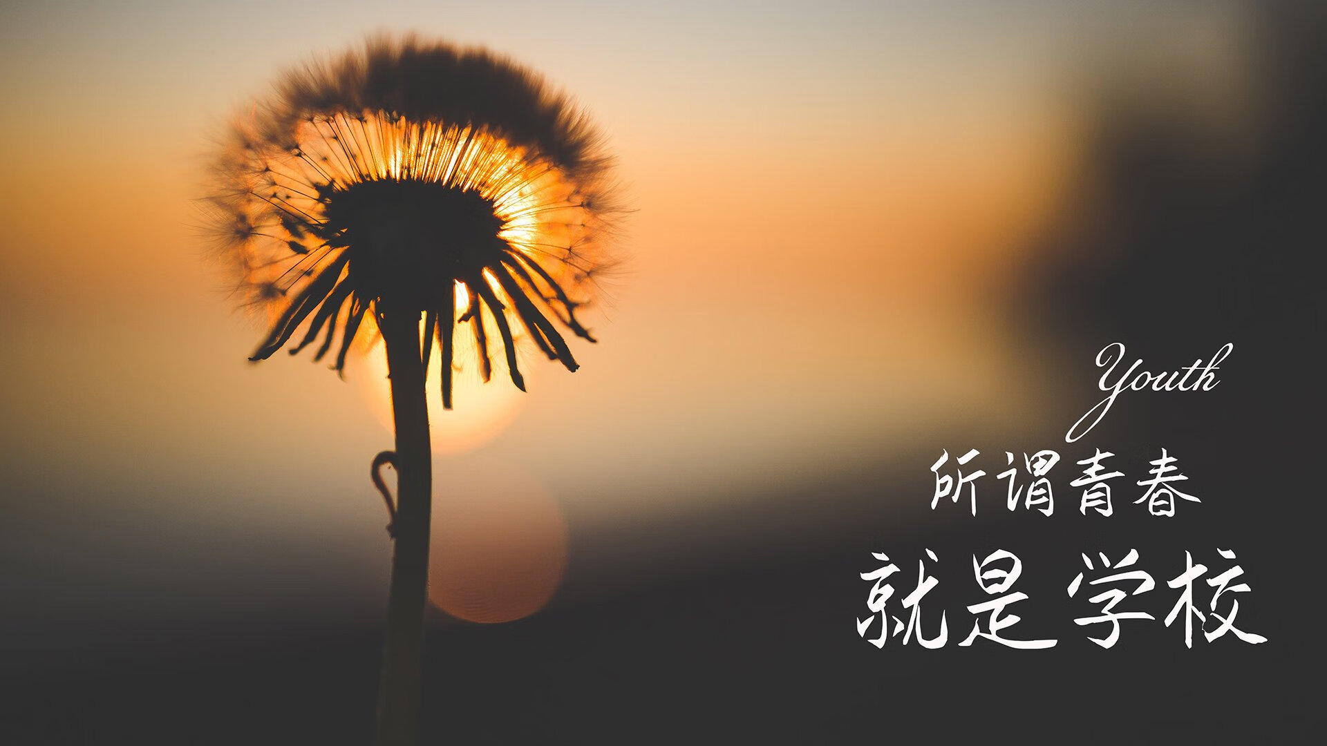 开云·Kaiyun网页版-史上最年轻“冠军射手”爆发！，最年轻的s赛冠军