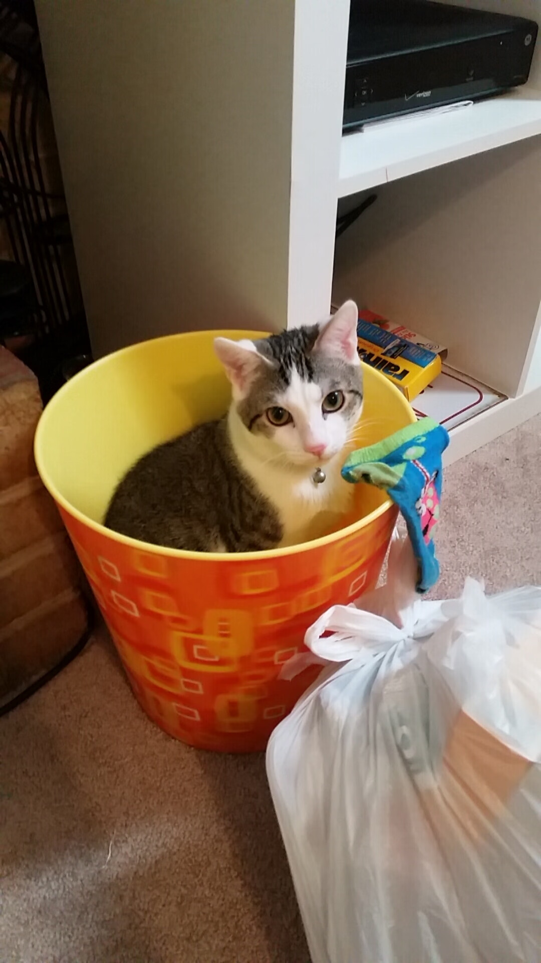 滑雪世界杯,无畏选手征服冰雪世界,滑雪2020