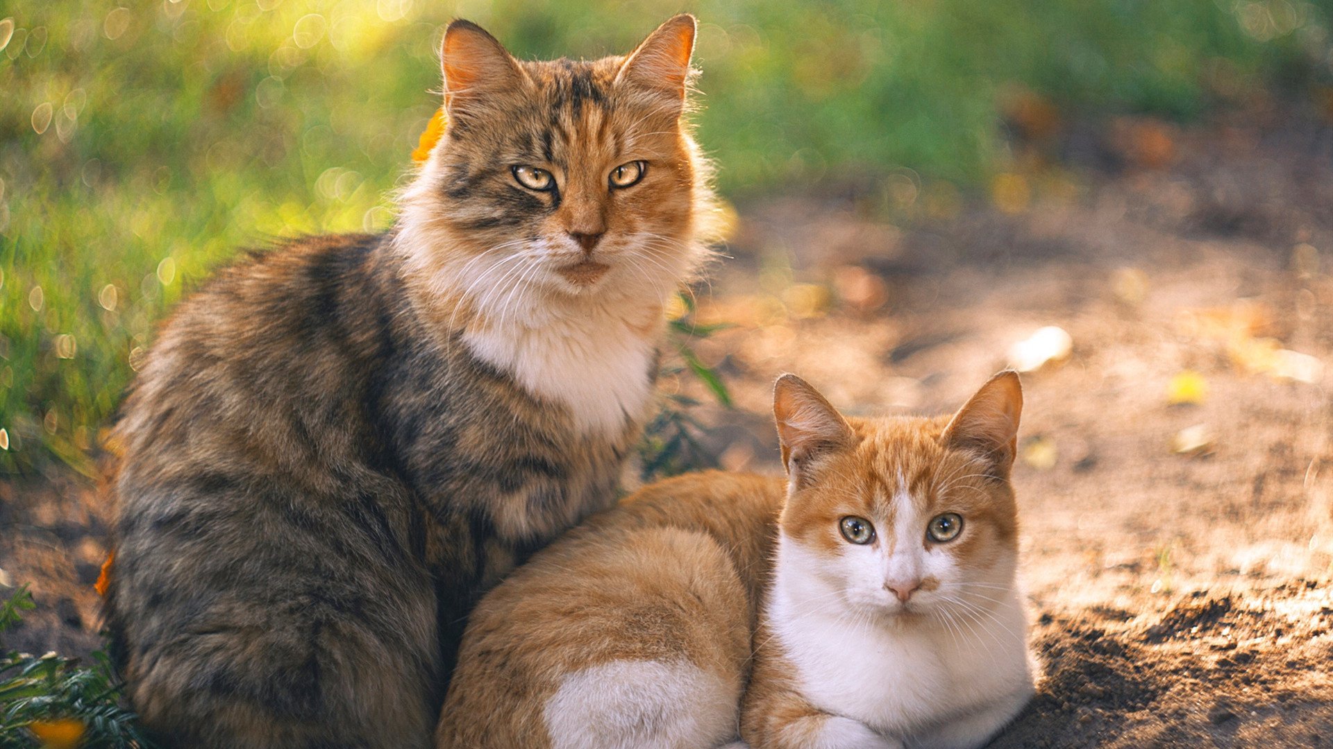 RNG完成赛季心理压力监测与调整,rng心态