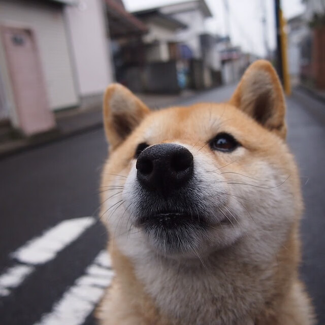 切尔西女足赛季总结与展望，切尔西女足什么水平