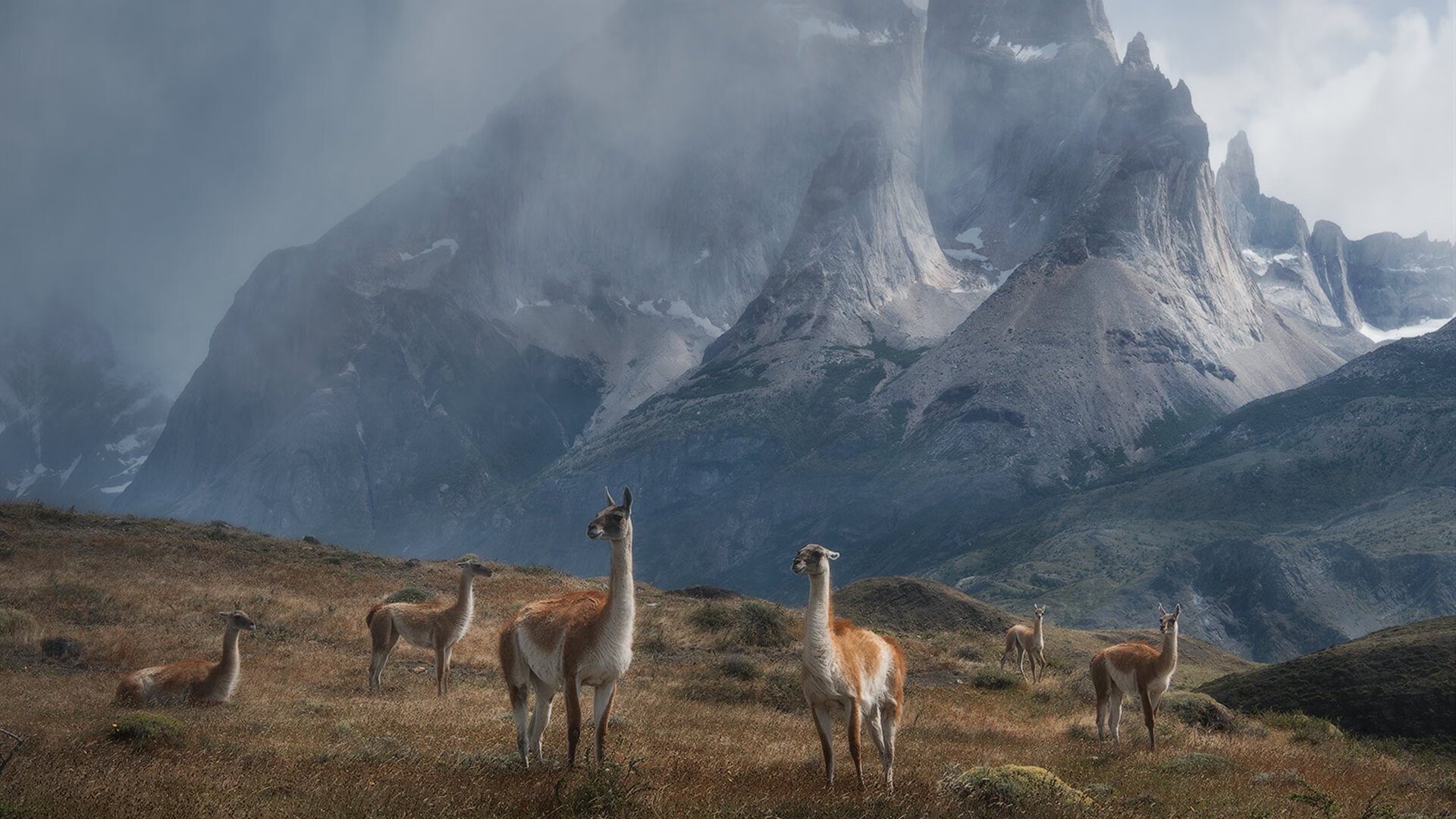 kaiyun官方网站-拜仁坐镇主场击败对手，实力仍不可小觑，拜仁原来的主场