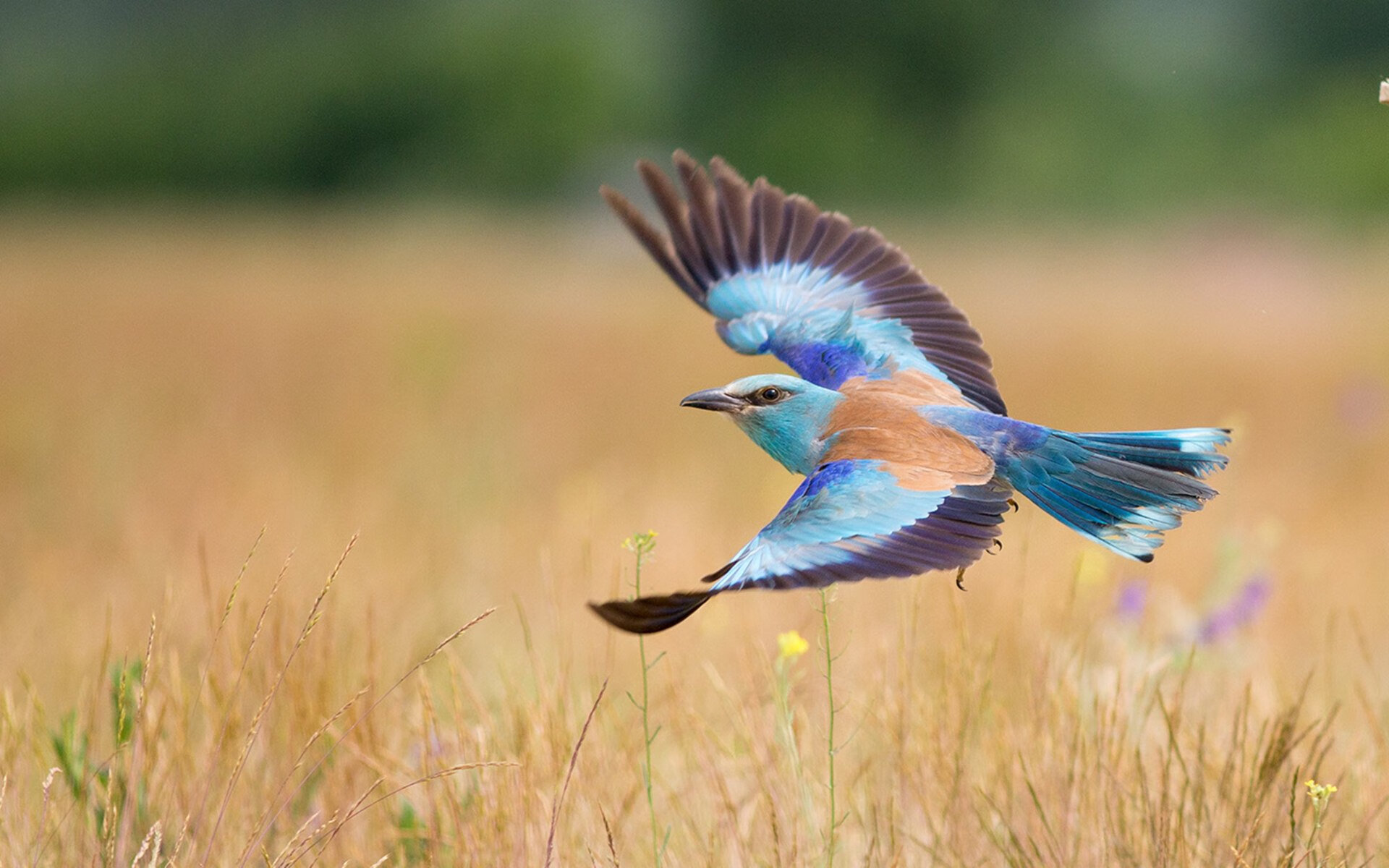 活塞太阳抗衡,场上擦出激烈火花,活塞活塞