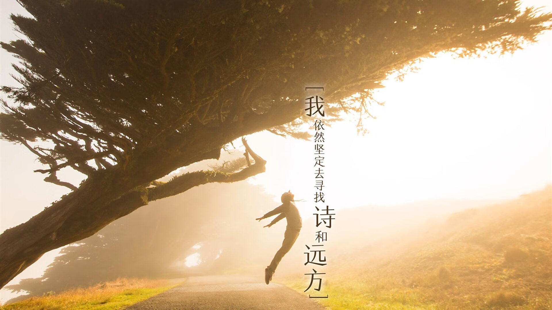 稳扎稳打!蒙彼利埃客场战平摩尼加,蒙彼利埃主帅