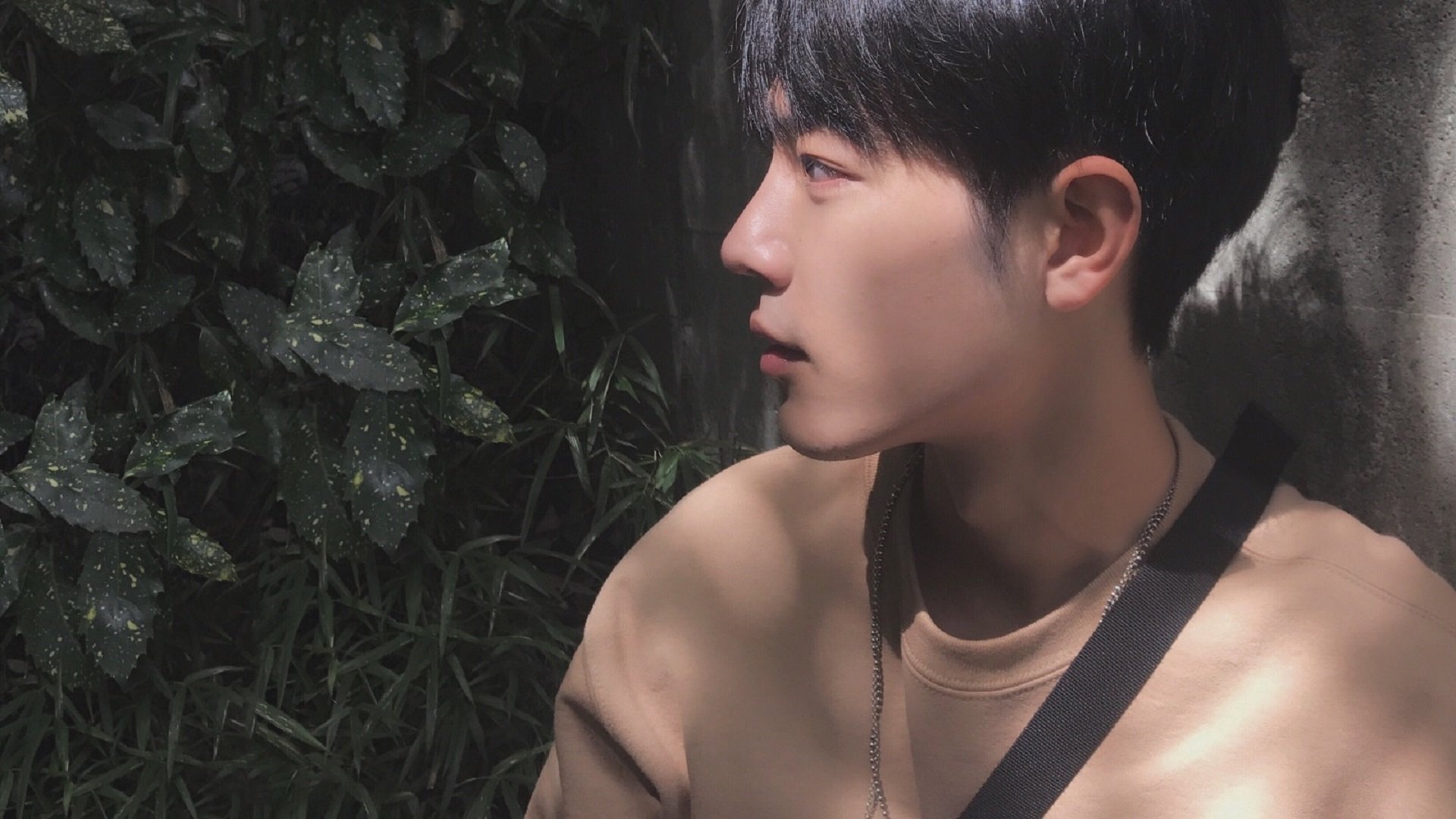 纽卡斯尔联客场0-2不敌利物浦,联赛24轮不败纪录终结,纽卡斯尔转会利物浦