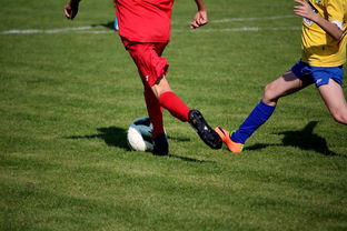 Kaiyun APP-世界台球联赛中国队勇夺团体亚军，世界台球联赛中国队勇夺团体亚军是谁