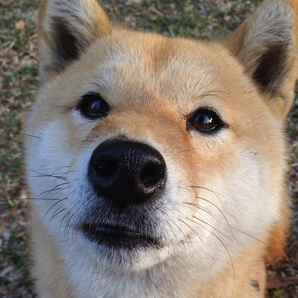 kaiyun.com-西甲球队体能衰减与传球成功率下降的相关性研究，西甲丢球最少记录