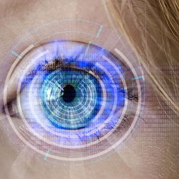 开云体育APP下载-训练负荷科学监测，训练负荷诊断