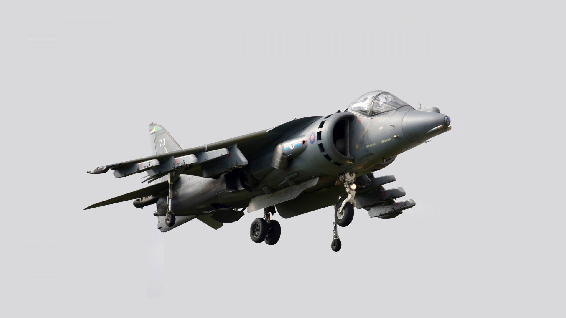 “SHO-CHAN Run 2025:一场与速度赛跑的香港盛会”