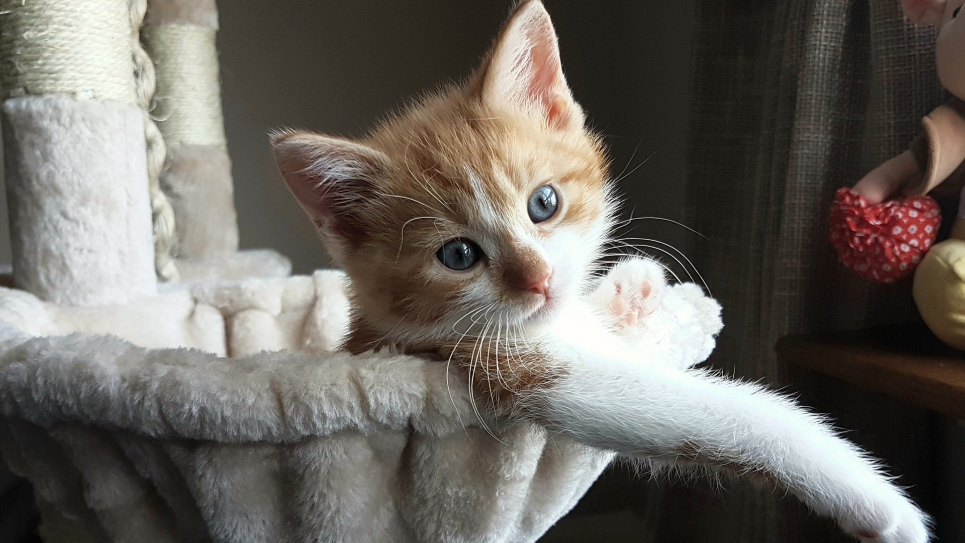 俱乐部比赛运营节奏不具娱乐属性,俱乐部运营包括哪些方面