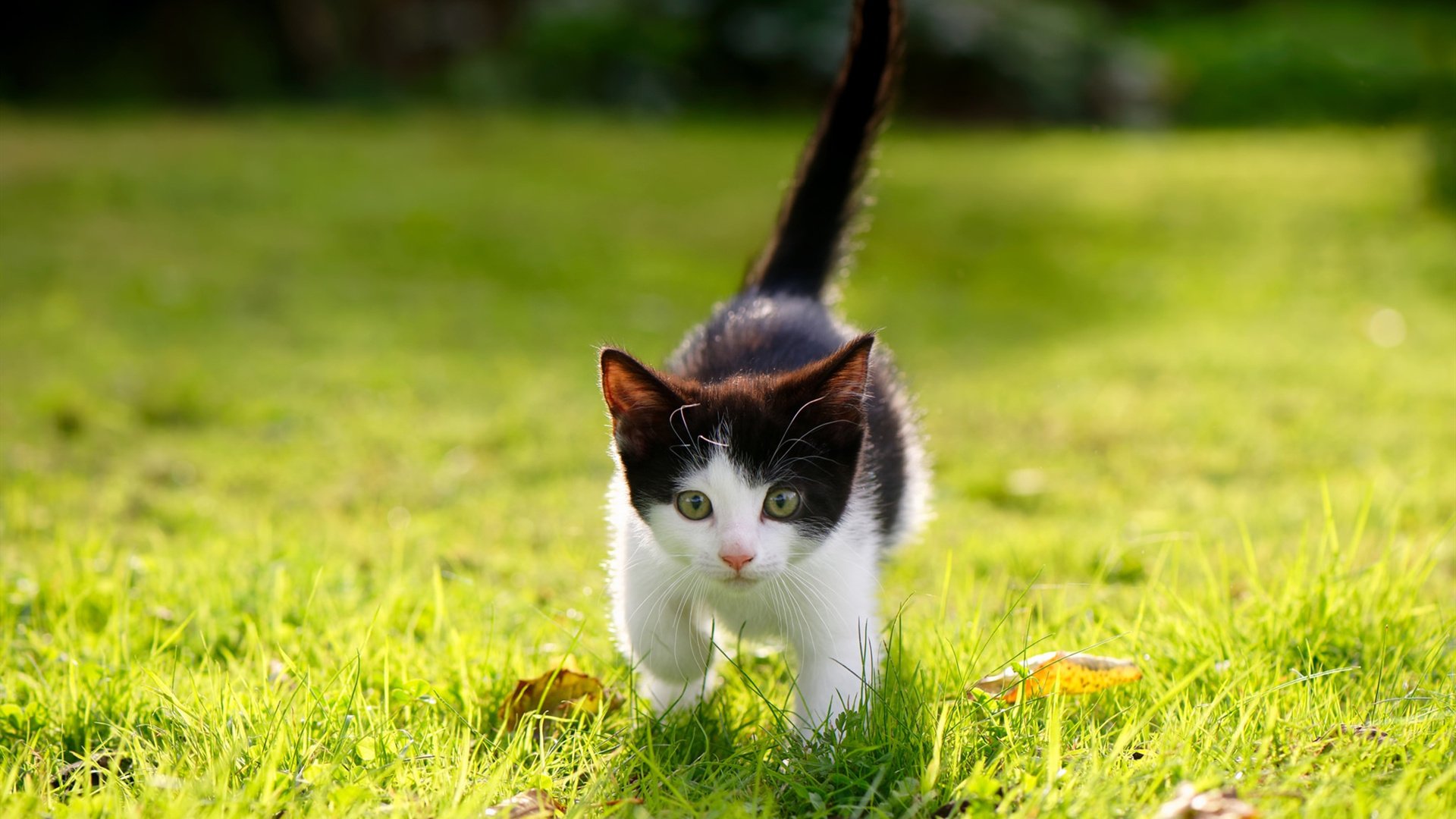 kaiyun开云·官方网站-节奏切换是否是破紧逼防守的最佳方案，节奏把控