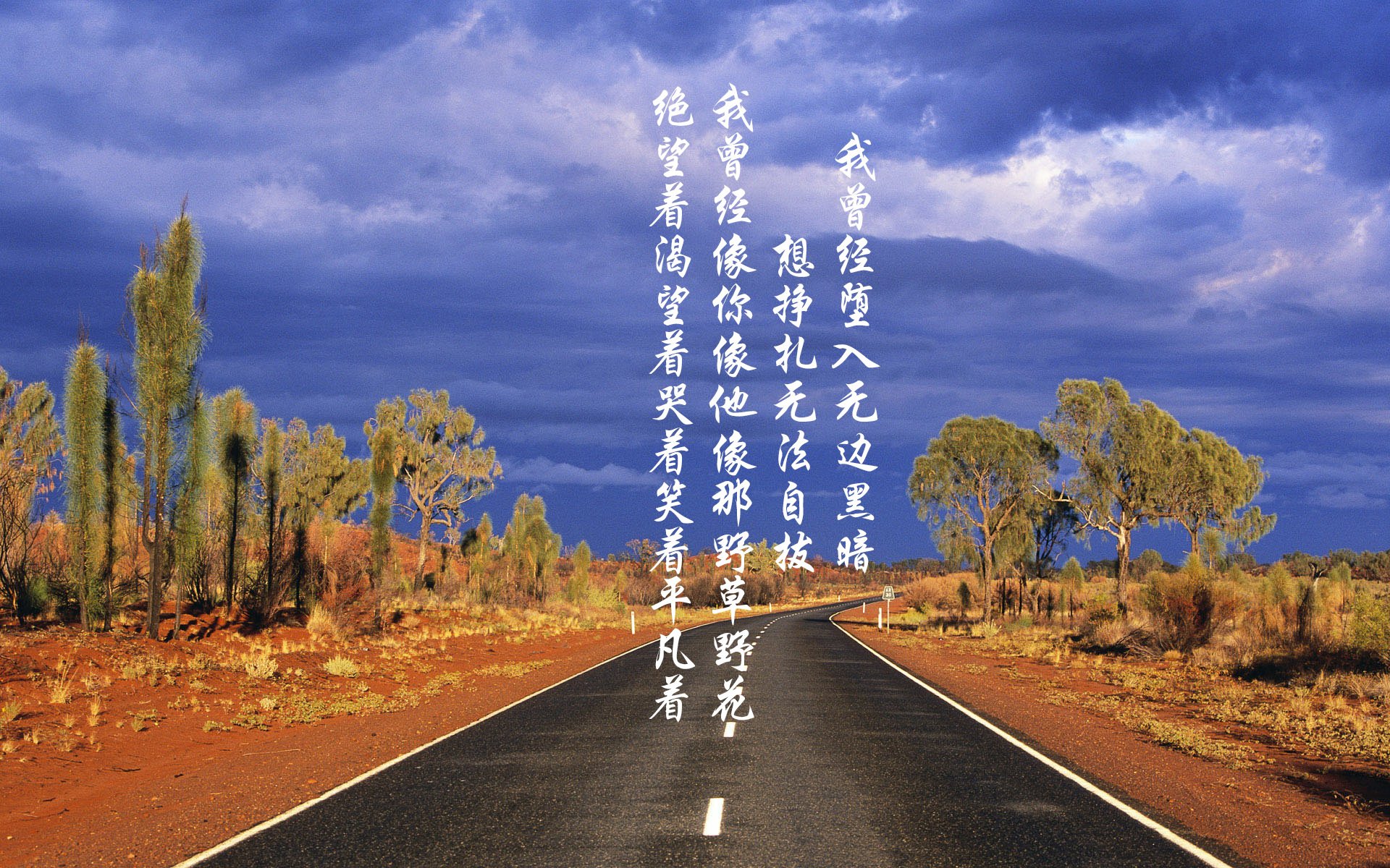 尼克斯反击成功率提升转换进攻成亮点，尼克斯训练