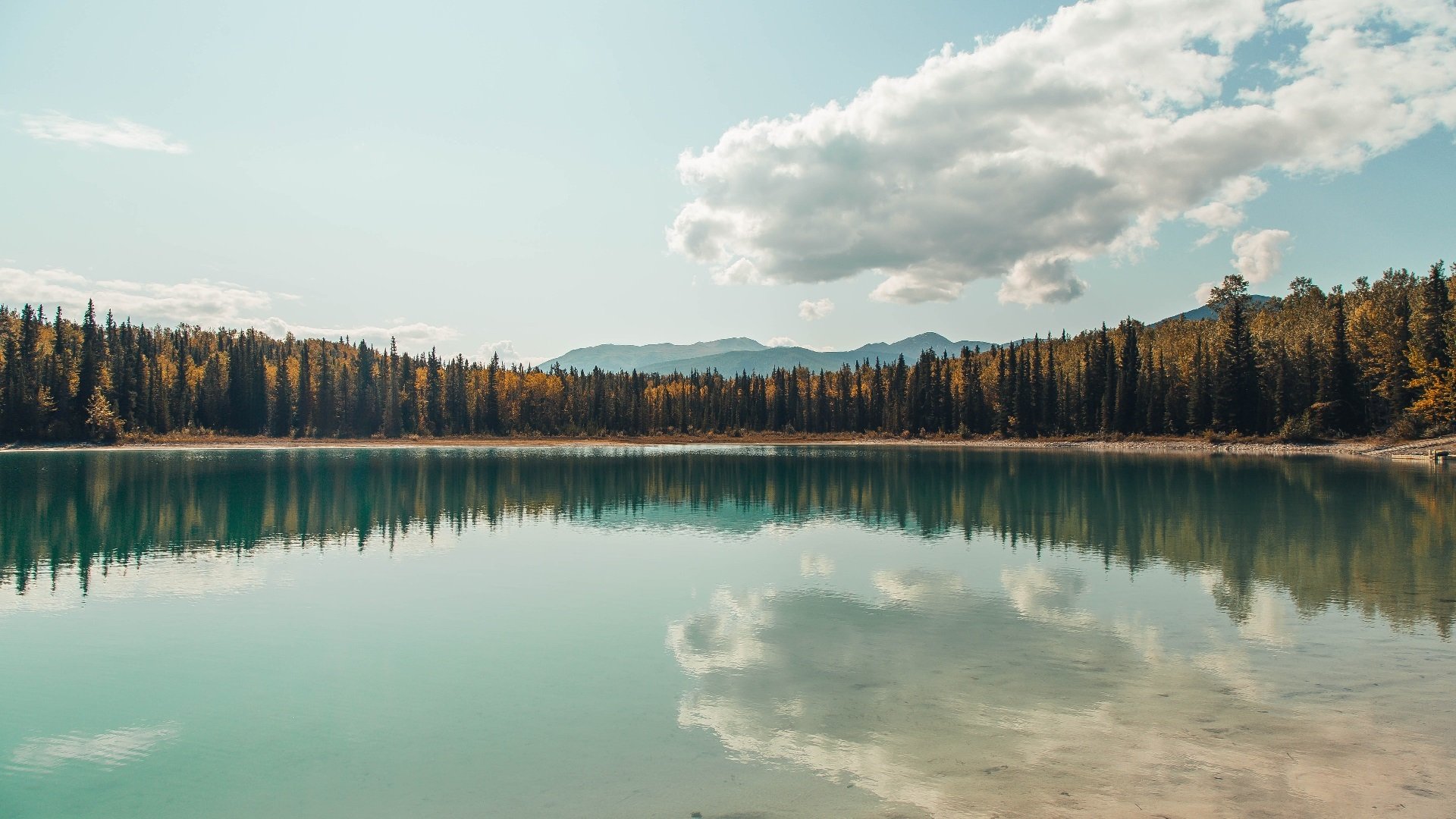 法甲新星闪耀：未来巨星开启足球新篇章！，法甲新赛季宣传片