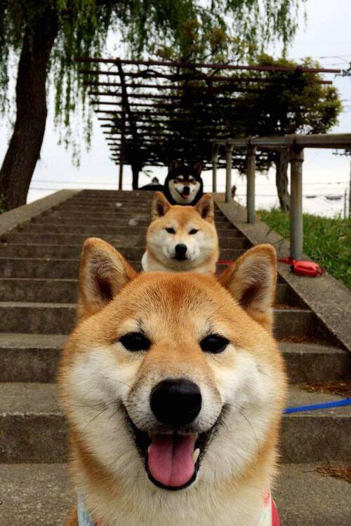 联赛组织者优化赛程减少团队长途奔波,运动表现获益,比赛组织有序