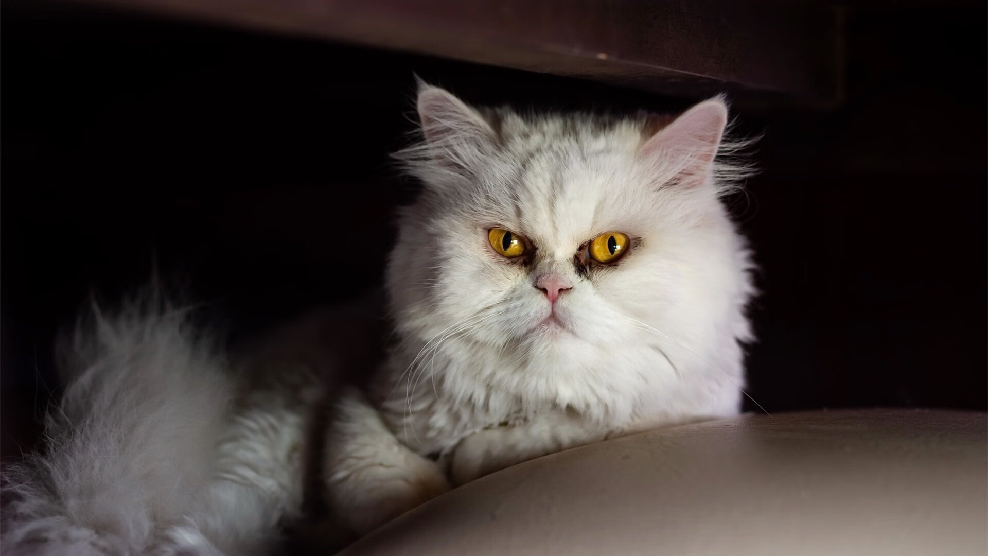 联赛组织者优化赛程减少团队长途奔波,运动表现获益,比赛组织有序