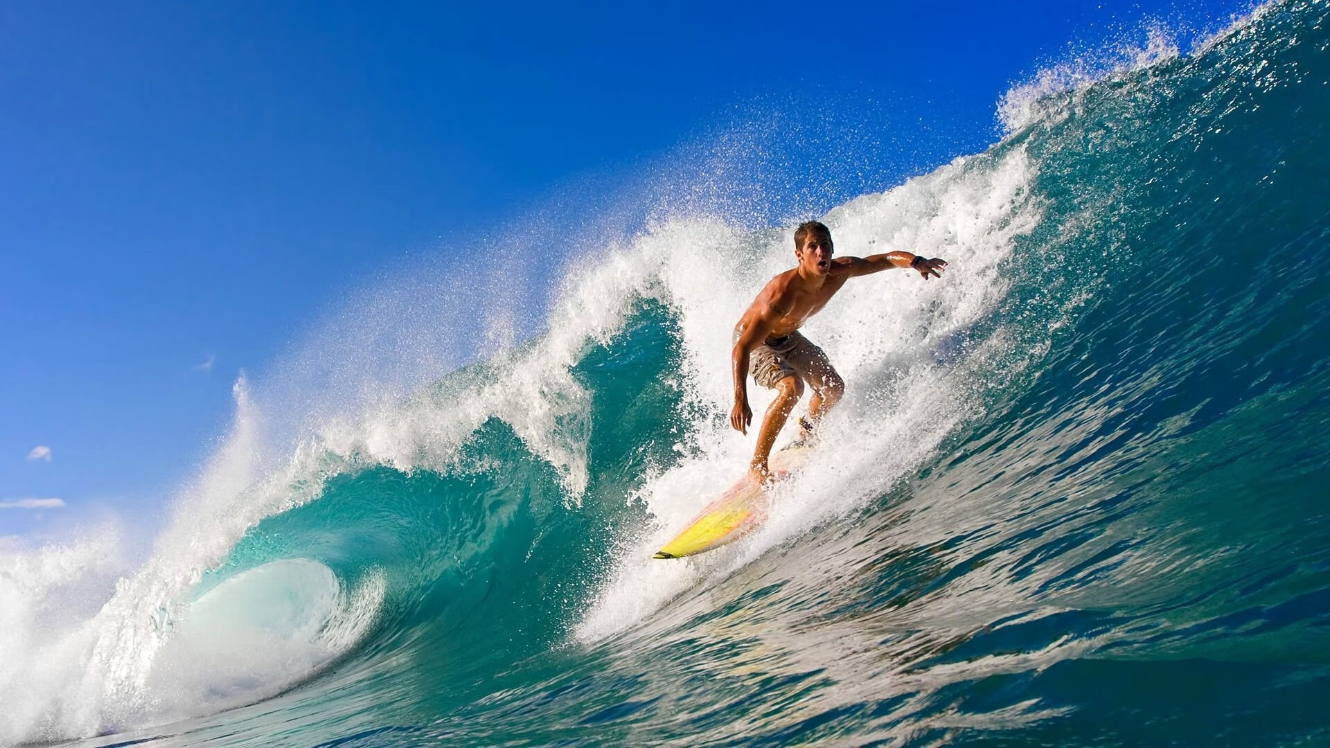 开云体育ios下载-青少年体育人才培养计划，青少年体育训练计划